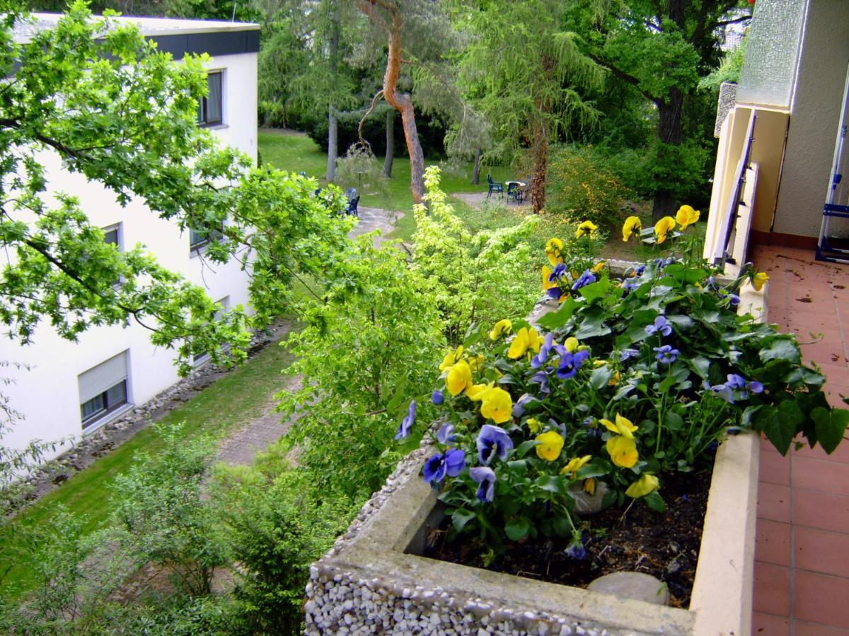 Appartementhaus Im Gruen Bad Bellingen Dış mekan fotoğraf