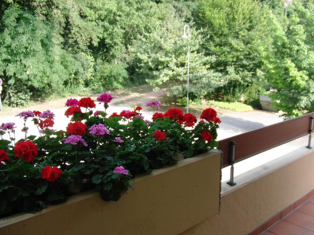 Appartementhaus Im Gruen Bad Bellingen Oda fotoğraf